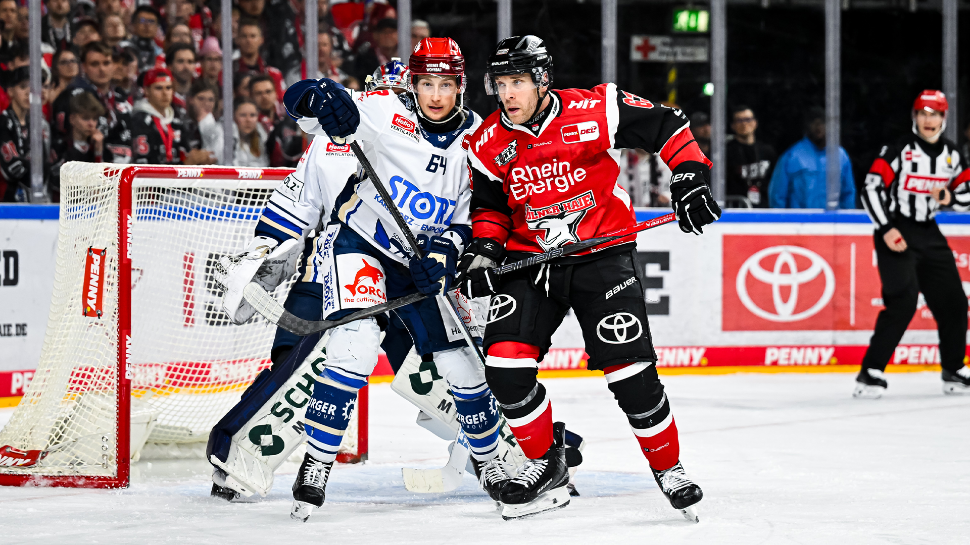 Kölner Haie gg. Schwenninger Wild Wings